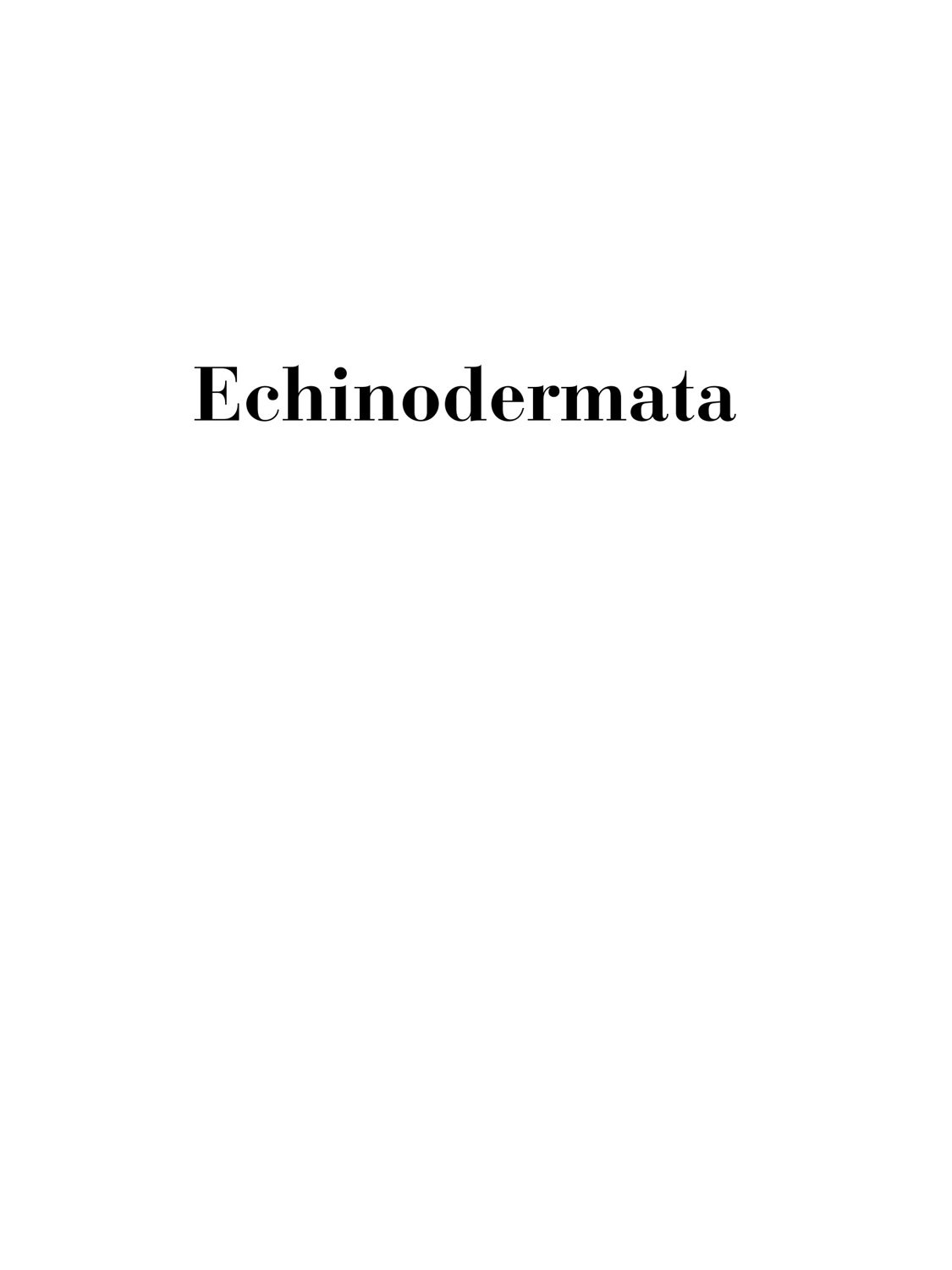 Title page, by Enya Santamaría