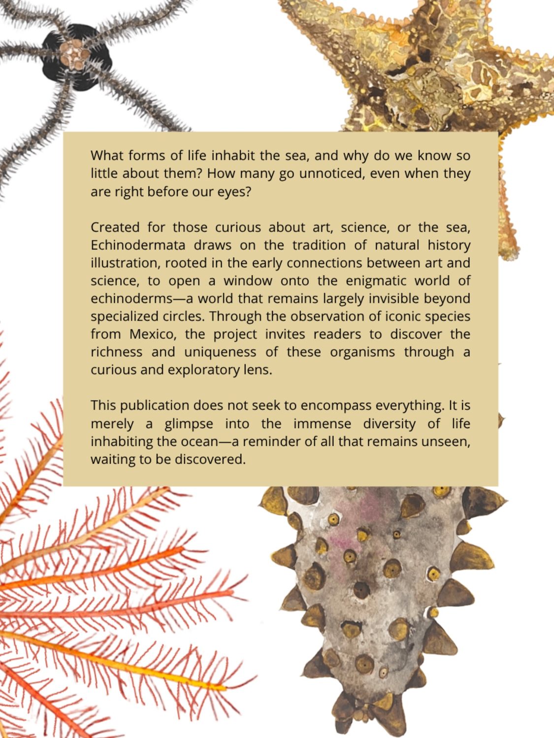 Back cover, by Enya Santamaría