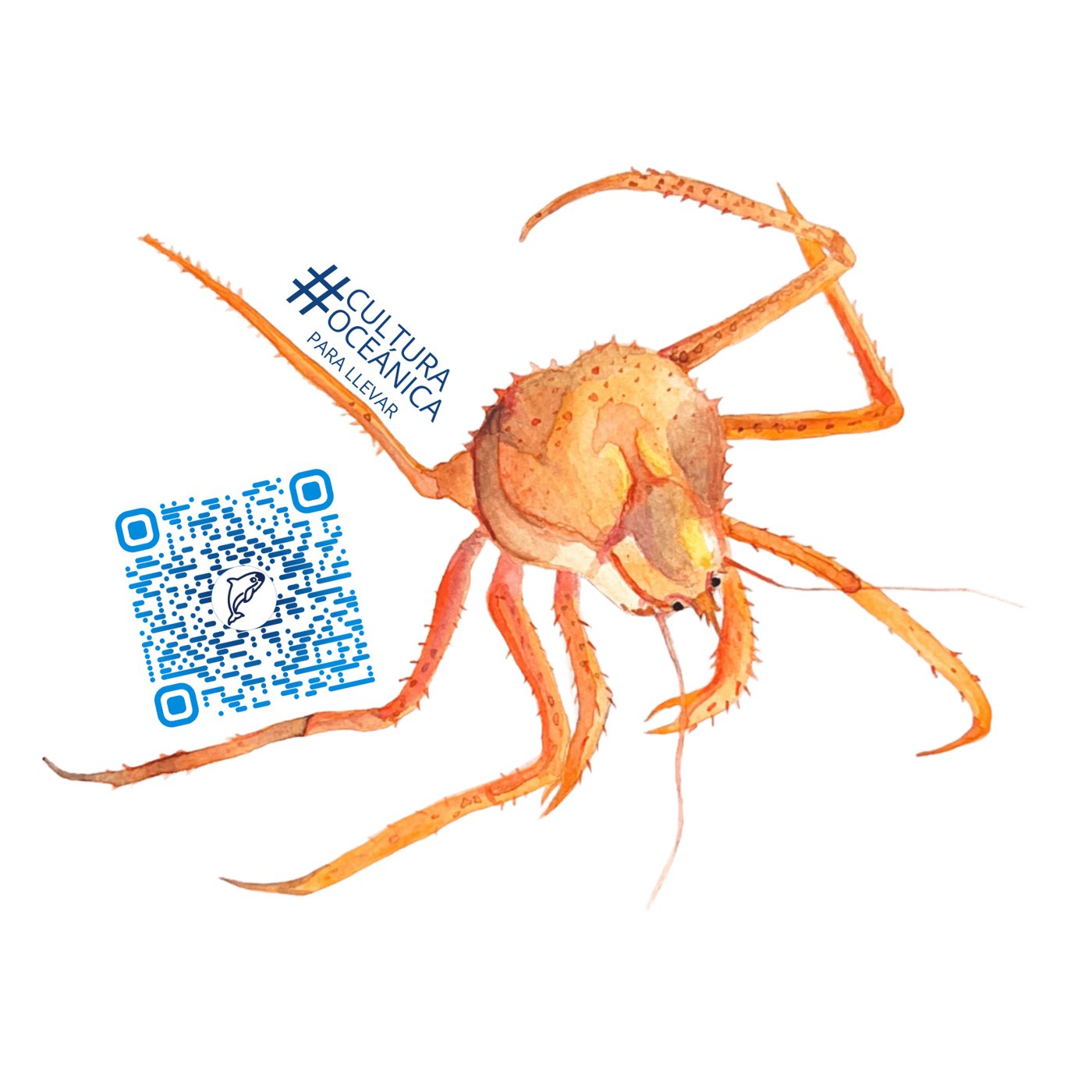 Crab, by Enya Santamaría