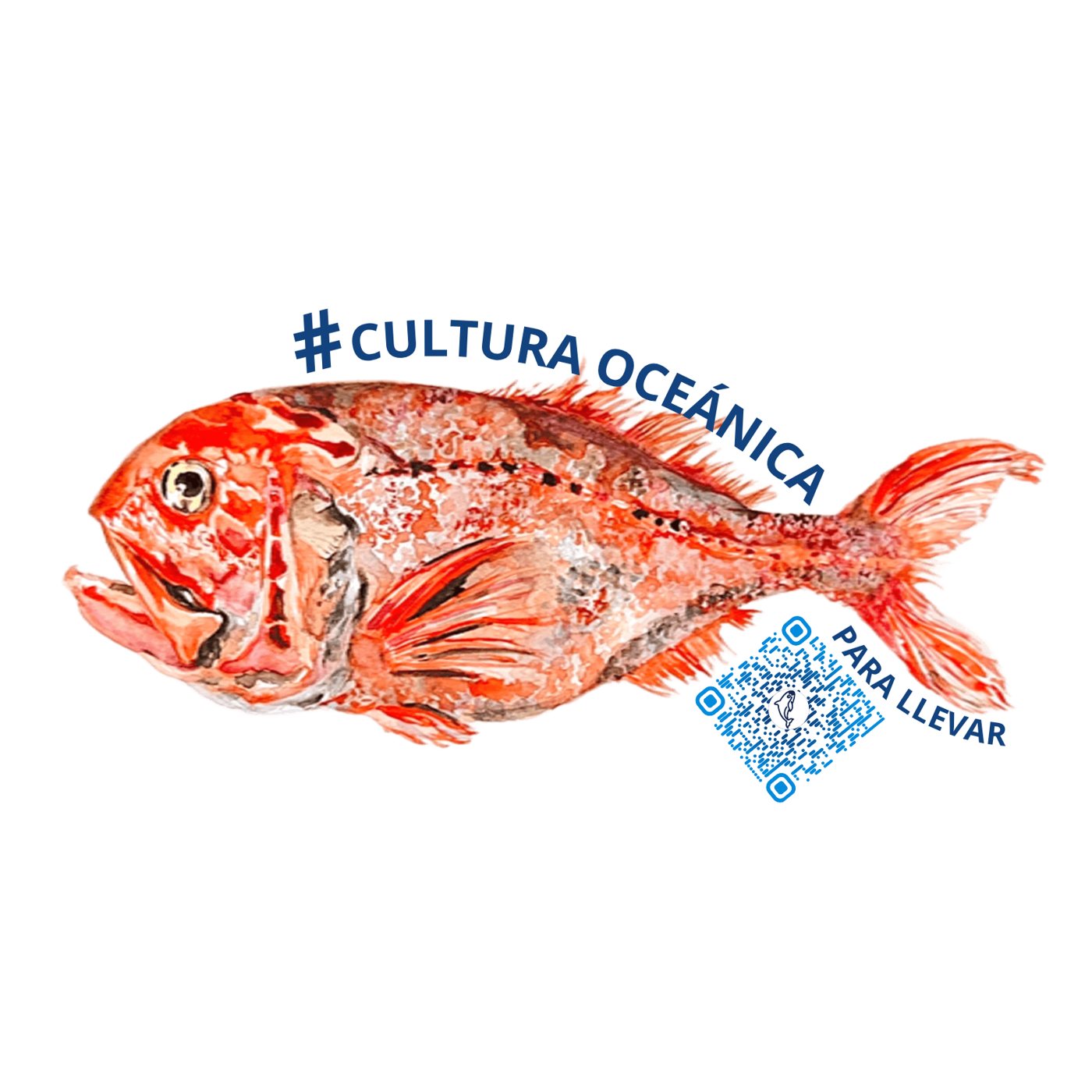 Orange roughy, Hoplostethus atlanticus, by Enya Santamaría